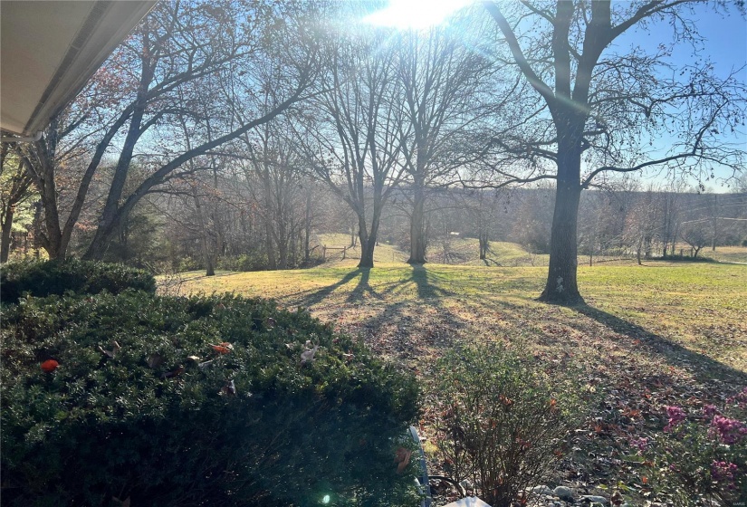 View from the front of the home