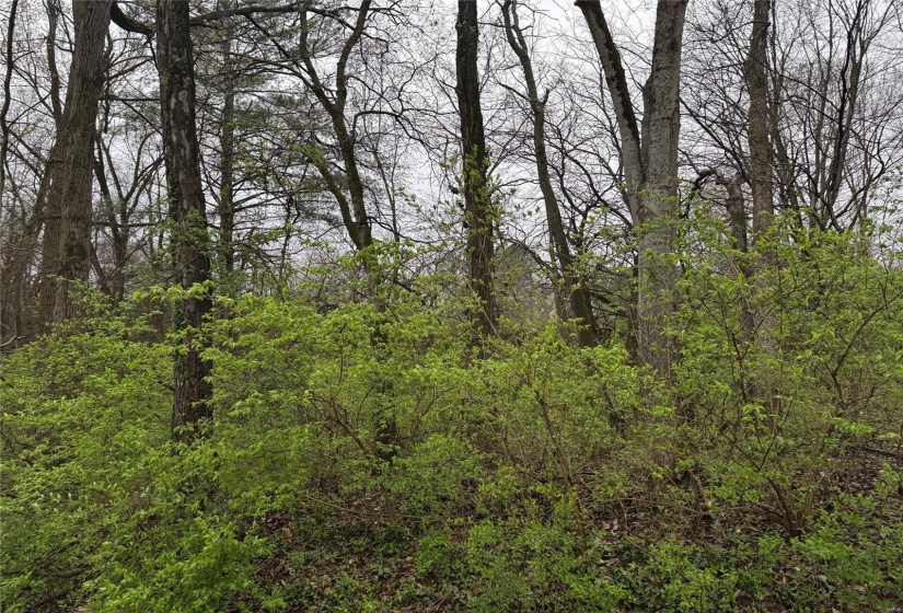 9 WOOD DUCK DRIVE, Ramsey, Illinois 62080, ,Land,For Sale,WOOD DUCK DRIVE,MAR25019054